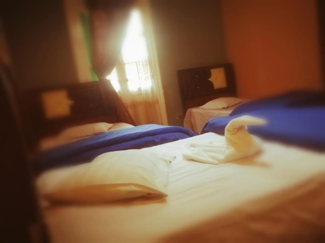 Hi Nile Plaza Hostel القاهرة المظهر الخارجي الصورة